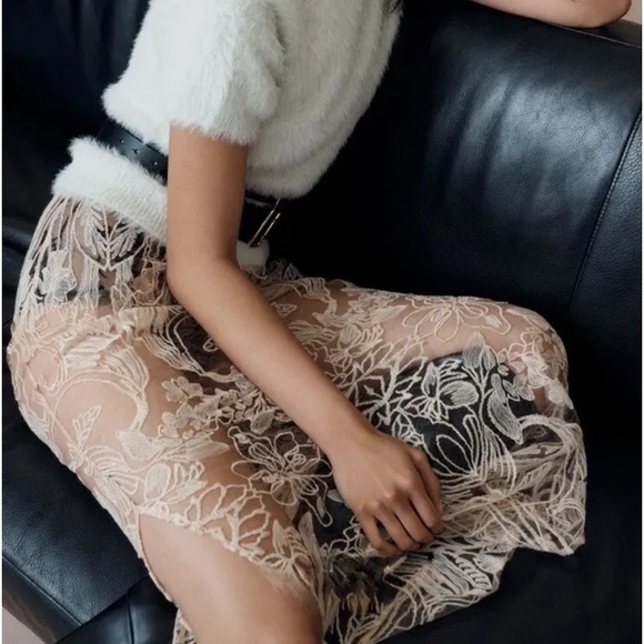 Anthropologie Dresses & Skirts - ANTHROPOLOGIE Sheer Lace Embroidered Maxi Skirt Rose Color Size M NEW Demure